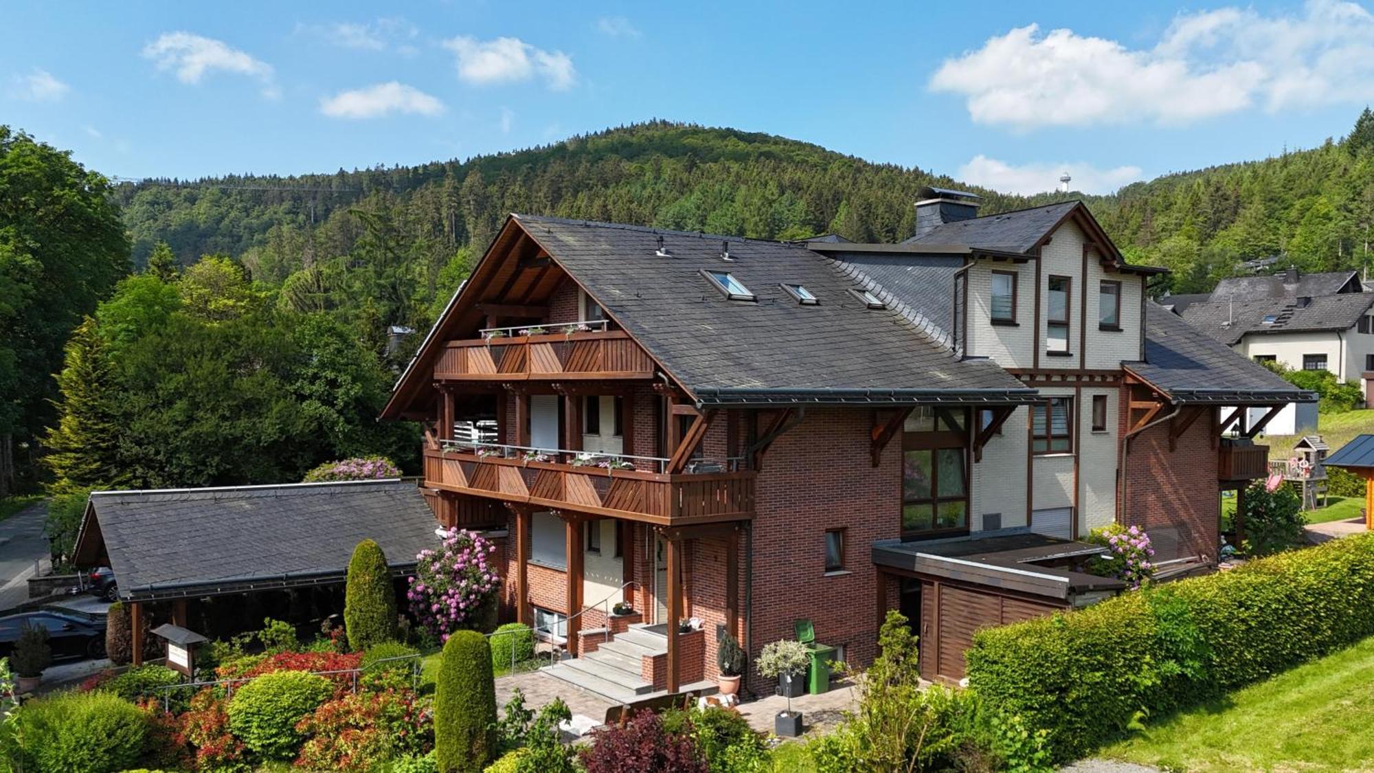 Haus Daut Fewo Mit Hallenbad Willingen  Bagian luar foto